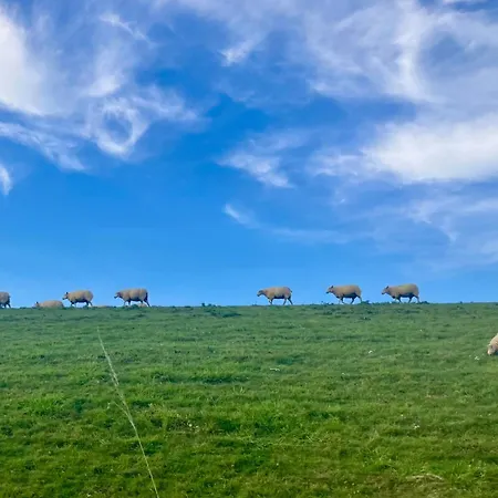 Haus Luesthuuske Holiday home